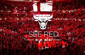 欧宝体育注册-芝加哥公牛内部会议纪要流出——窗口期回应争议，荷甲使命明确，数据趋势出现新变化